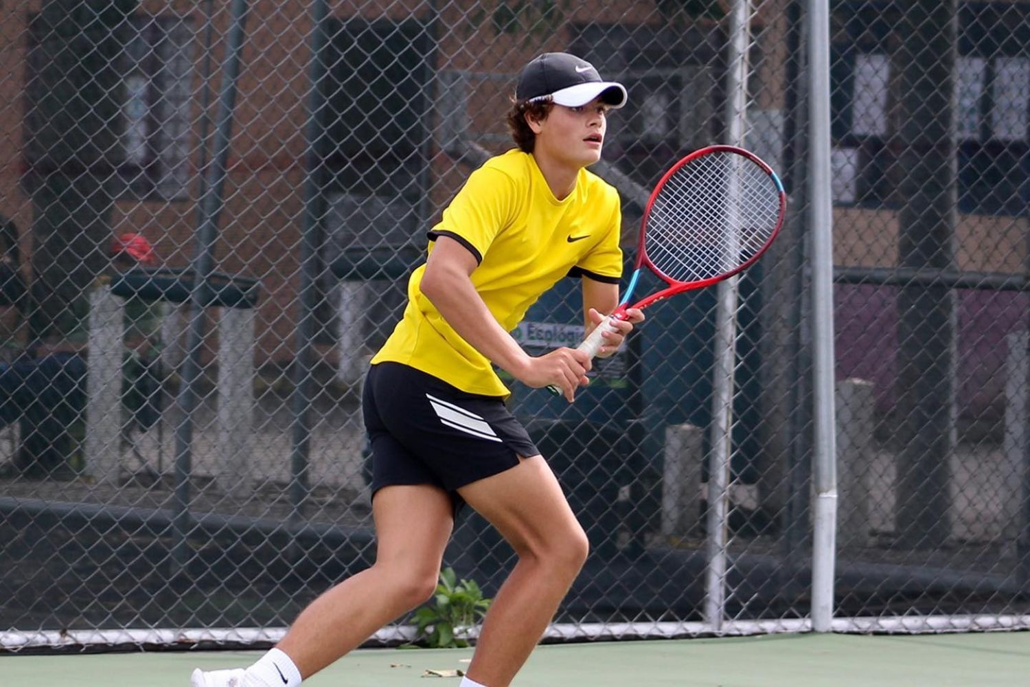 Padelschläger für Herren: Premium Auswahl für maximale Performance bei Padel Profi Deutschland