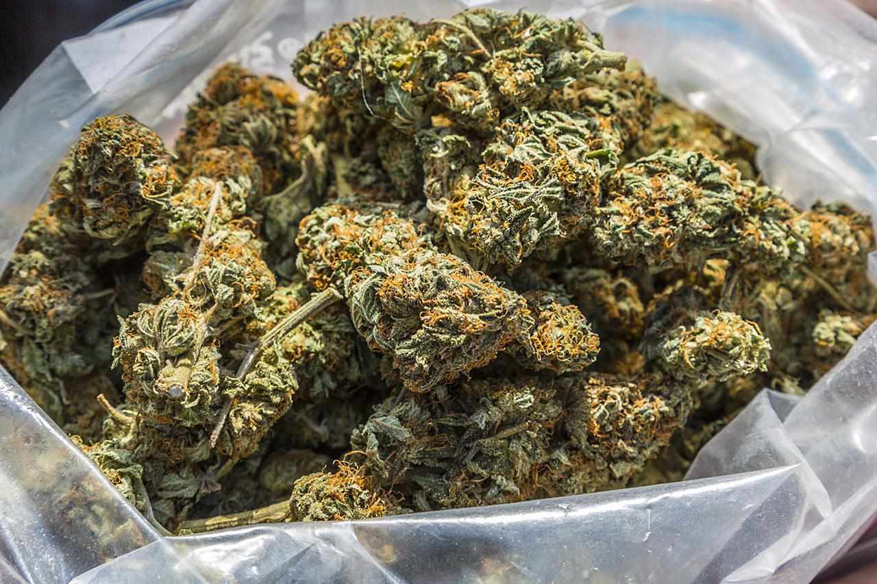 CBD Blüten auf Rechnung – Dein CBD-Genuss, jetzt auch auf Rechnung